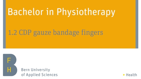 Vorschaubild für Eintrag 1.2  CDP gauze bandage fingers