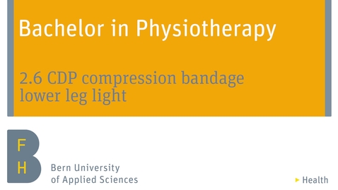 Vorschaubild für Eintrag 2.6 CDP compression bandage lower leg light