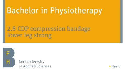 Vorschaubild für Eintrag 2.8 CDP compression bandage lower leg strong